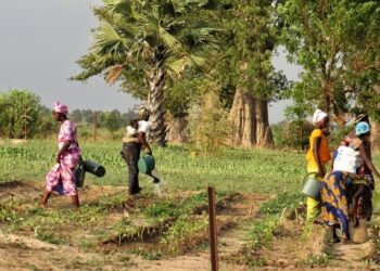 74,54 millions d’euros mobilisés pour booster l’entrepreneuriat des jeunes et des femmes au Sénégal