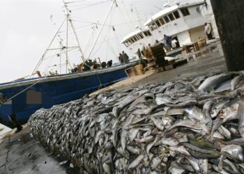 Pêche INN : L’UE Suspend son Accord avec le Sénégal en Attente de Réformes