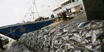 Pêche INN : L’UE Suspend son Accord avec le Sénégal en Attente de Réformes