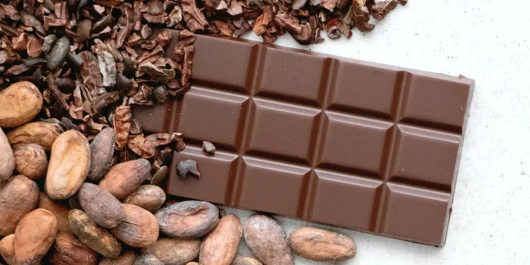 Marché du Cacao : Les Prévisions de récolte impactent les prix mondiaux
