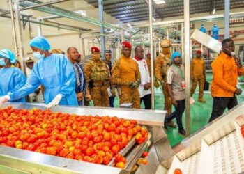 Investissement de 5,56 milliards de FCFA dans l’industrie de transformation alimentaire au Burkina Faso