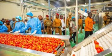 Investissement de 5,56 milliards de FCFA dans l&rsquo;industrie de transformation alimentaire au Burkina Faso