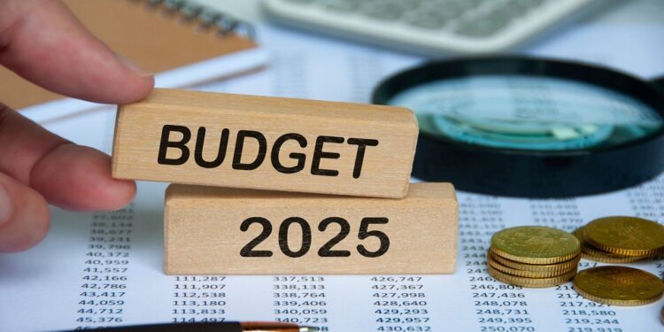 Budget 2025 du Sénégal : 6 395,1 milliards FCFA alloués avec une croissance projetée de 8,8%