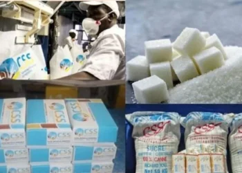 Développement Économique en Casamance : Deux usines de sucre pour stimuler l’emploi local