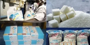 Développement Économique en Casamance : Deux usines de sucre pour stimuler l’emploi local