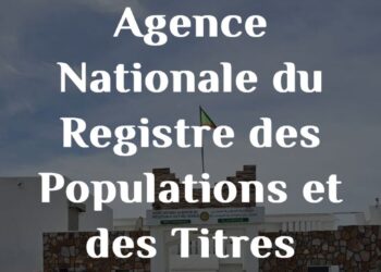 La Mauritanie Lance un Visa Électronique pour Stimuler le Tourisme et la Transformation Numérique