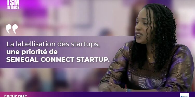 FOCUS PME avec Mme RAKI KANE, secrétaire exécutive de SENEGAL CONNECT STARTUP.