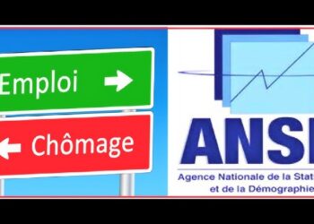 Analyse économique : Le Sénégal confronté à une montée du chômage en 2024