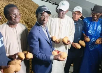 Mbane : Swami Agri et l&rsquo;État inaugurent une chambre froide de 15 000 Tonnes