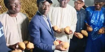 Mbane : Swami Agri et l&rsquo;État inaugurent une chambre froide de 15 000 Tonnes