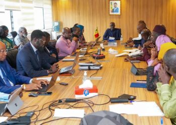 Sénégal : L&rsquo;Apix et le Cos-Pétrogaz s&rsquo;allient pour attirer les investisseurs dans l&rsquo;industrie pétrolière et gazière