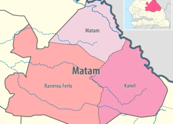 À Matam, la culture du blé fait un bond en avant