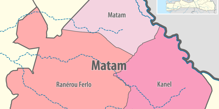 À Matam, la culture du blé fait un bond en avant