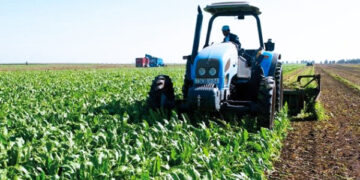  Le Sénégal Lance un Projet de Numérisation des Subventions Agricoles en Collaboration avec l’IFC