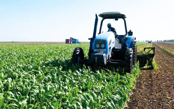 Le Sénégal Lance un Projet de Numérisation des Subventions Agricoles en Collaboration avec l’IFC