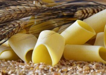 Marché des céréales en Afrique de l’Ouest : Le Sénégal, première destination des exportations marocaines