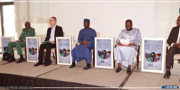 Combustibles domestiques écologiques : Le Sénégal adopte sa stratégie nationale