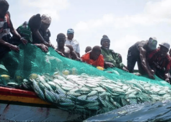 Le Sénégal affirme sa souveraineté sur ses ressources halieutiques
