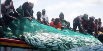 Le Sénégal affirme sa souveraineté sur ses ressources halieutiques