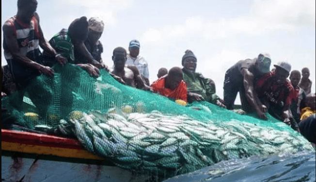 Le Sénégal affirme sa souveraineté sur ses ressources halieutiques