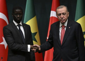 Commerce Turquie-Sénégal : Un volume de 249,1 milliards FCFA en 2024