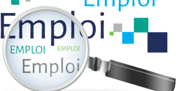 Concentration de l’emploi au Sénégal : Cinq régions en tête avec plus de 60% des postes