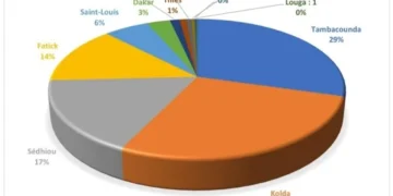 Économie sociale et solidaire au Sénégal : 570 coopératives en pleine croissance